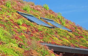 Staintondale living roof systems