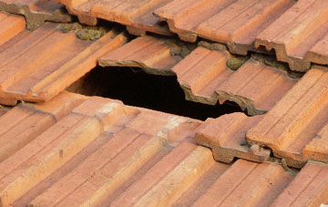 roof repair Staintondale, North Yorkshire
