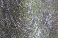 Staintondale fibreglass roof work